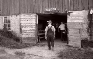 The Haugen Farm
